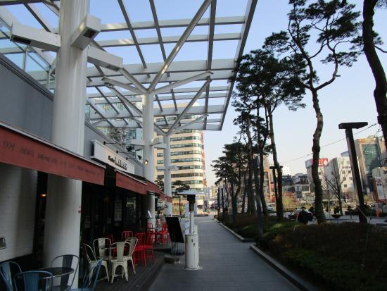 Cafe Mamas Cheonggyecheon